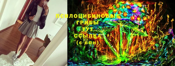 гидра Армянск