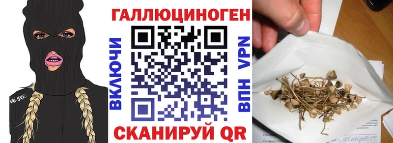 где можно купить   Радужный  Псилоцибиновые грибы прущие грибы 